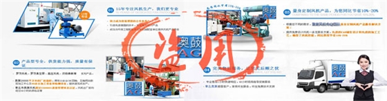 奧鼓風(fēng)機1.jpg