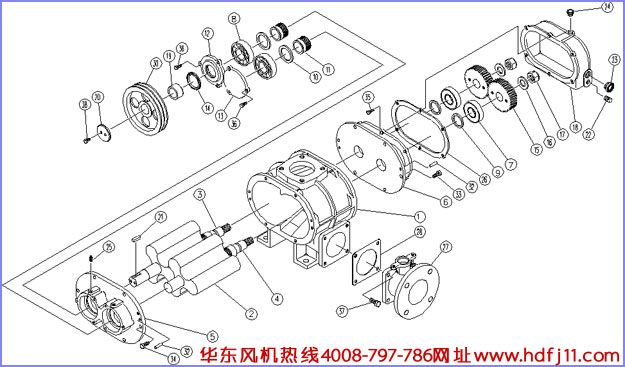 羅茨風機結構圖.jpg